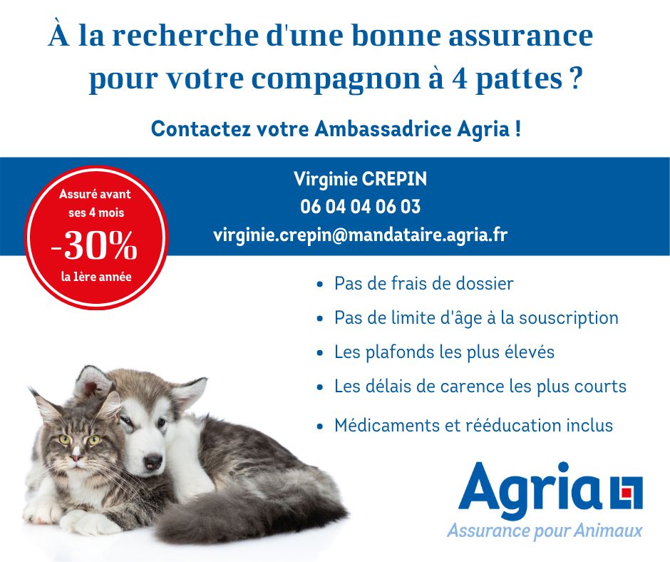 Assurance santé animale